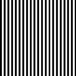 Dots & Stripes - Small Stripe - White on Black