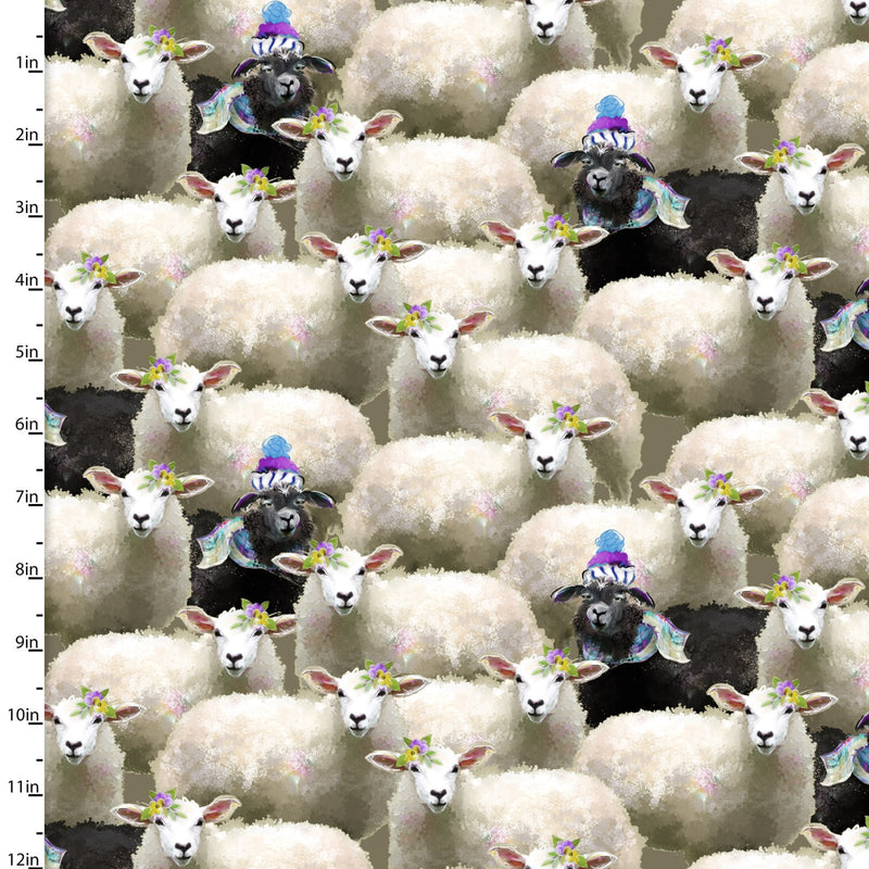 Back to the Farm - Black Sheep - Gray
