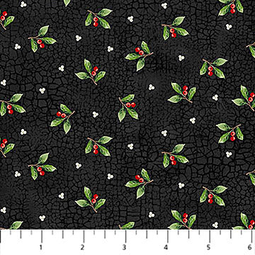 Winter Song - Holly Black