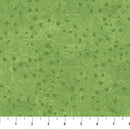 Dino Roar - Green Tracks