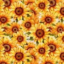 SUNFLOWER SERENADE PACKED SUNFLOWERS WHITE