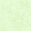 Shadow Play-Julep Mint