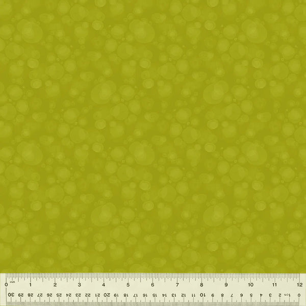 Watermark - Kiwi