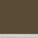 Nature Study 2.0 - Sequoia