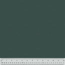 Nature Study 2.0 - Blue Agave