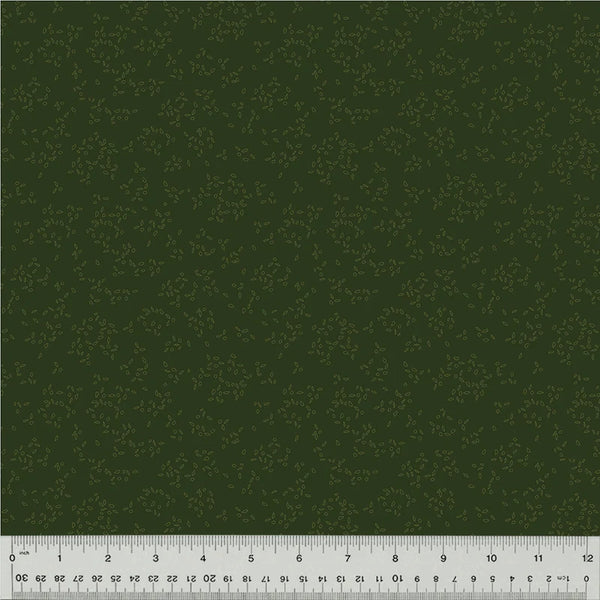 Nature Study 2.0 - Spirulina