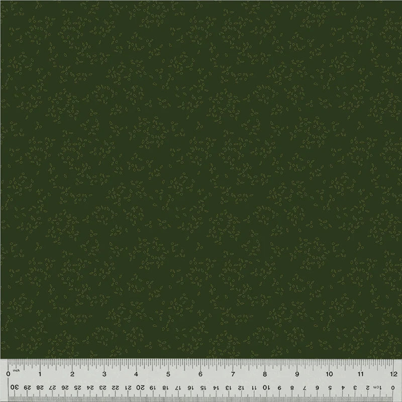 Nature Study 2.0 - Spirulina