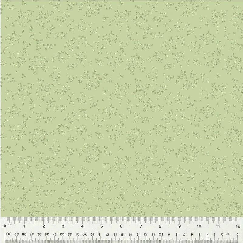 Nature Study 2.0 - Basil