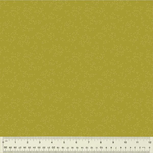 Nature Study 2.0 - Moss