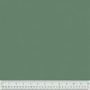 Nature Study 2.0 - Spinach