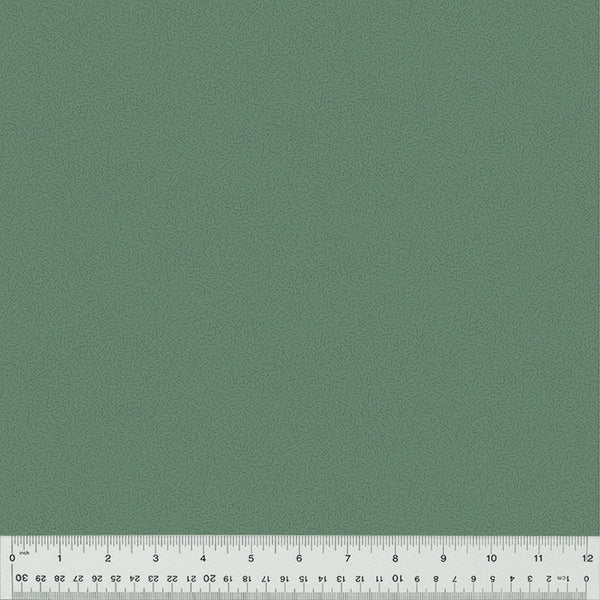 Nature Study 2.0 - Spinach