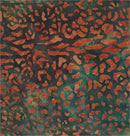 Summer Safari - 5512