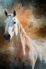 Panel - Ghostly White Horse Panel 12.5in x 20in