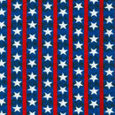 Independence Day - Stars & Stripes Americana