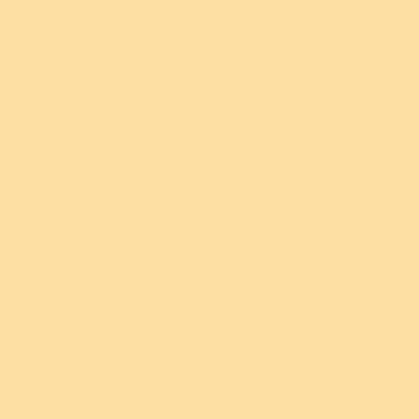 Confetti Cotton - Bee Hive
