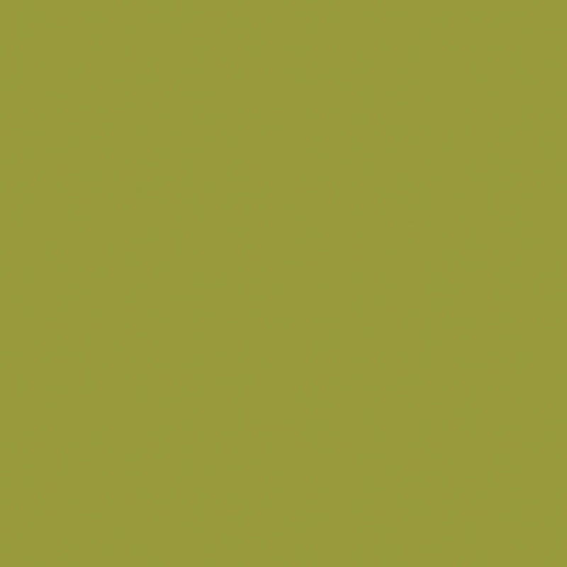 Confetti Cotton - Moss