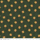 Friends of Smokey Bear Smokey Head Toss Forest