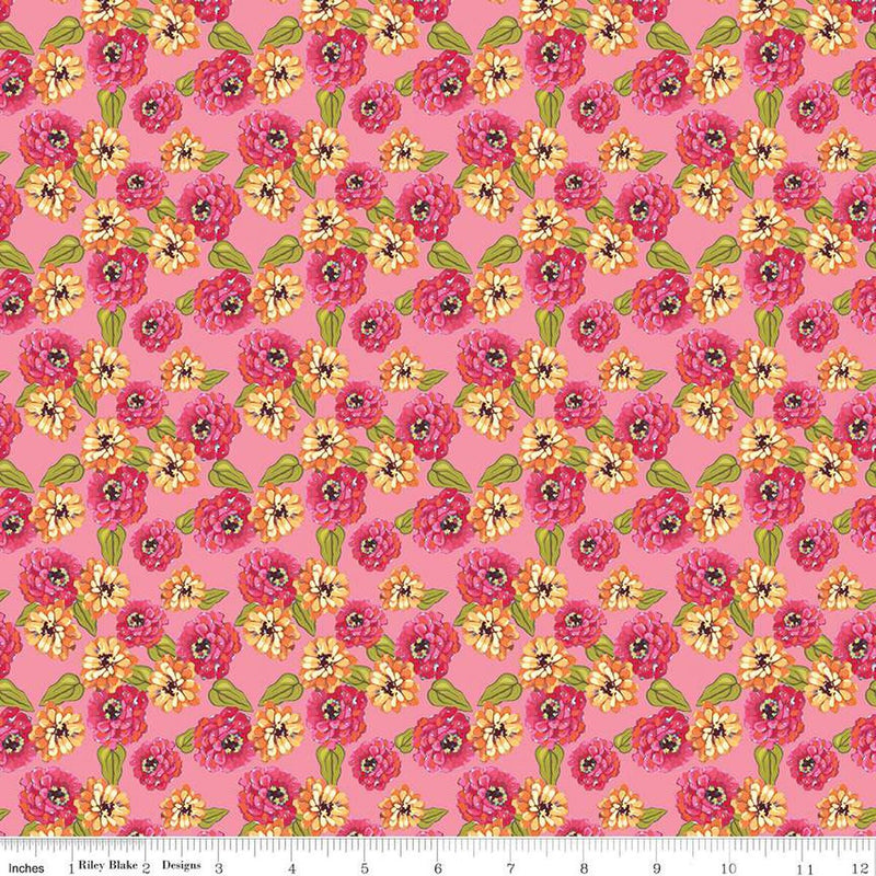 Zinnias - Zinnias Pink