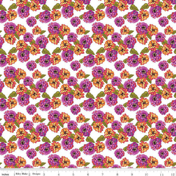 Zinnias - Zinnias White