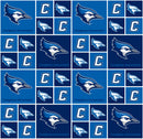 NCAA Creighton University Blue Block