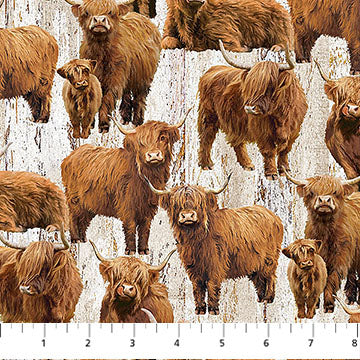 Highland Home - Cows