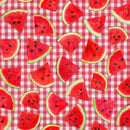 Fresh fruit -  WATERMELON SLICE ON PLAID