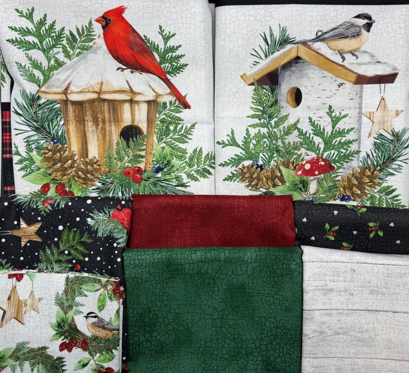 Bird Feeder and Cardinals Kit