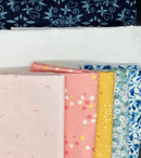 Star Shine Quilt Kit