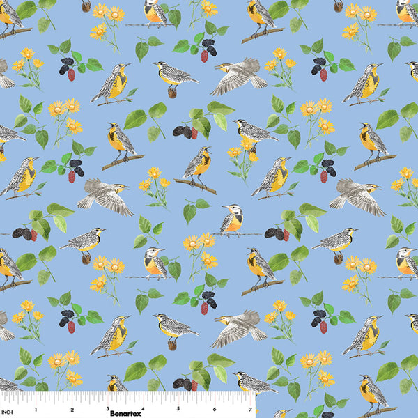 2025 All Kansas and Nebraska Shop Hop -Meadow Larks Blue
