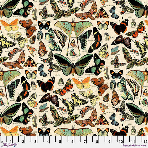 Teal Butterflies - Teal || Tim Holtz Palette Teal
