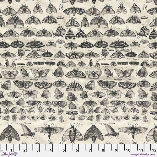 Tim Holtz Charcoal - Moths
