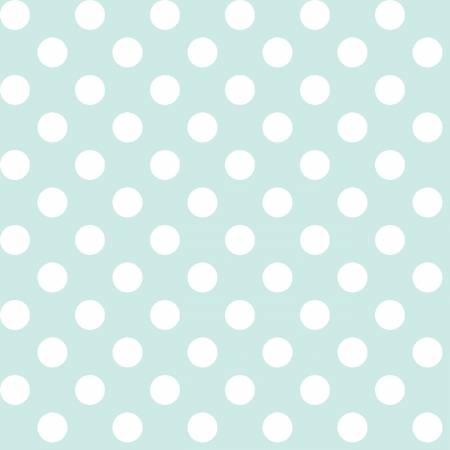 Pale Aqua Dots 108in Wide Back