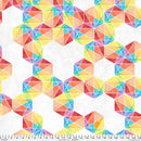 108" Backing Fabric - Prismatic - Polychrome || Hue