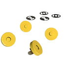 Colorful Magnetic Snaps