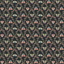 Dear Stella - Light Seekers