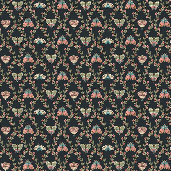 Dear Stella - Light Seekers