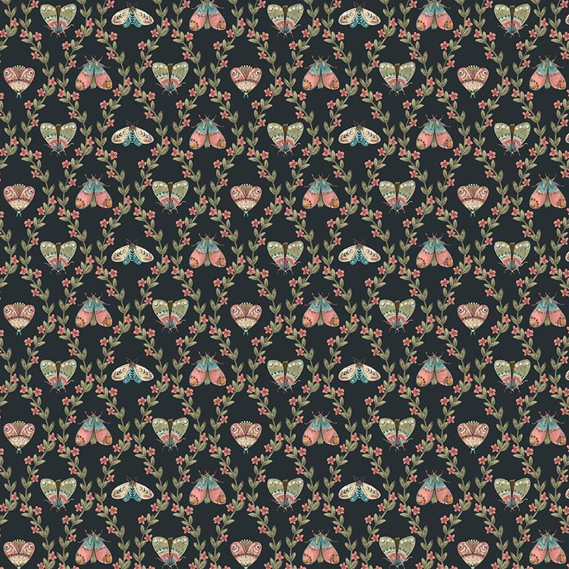 Dear Stella - Light Seekers