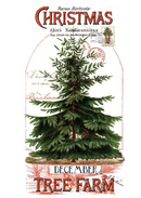 Classic Christmas - Christmas Botanical Main Panel