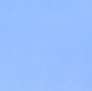 Quilting Cuddle - Maui