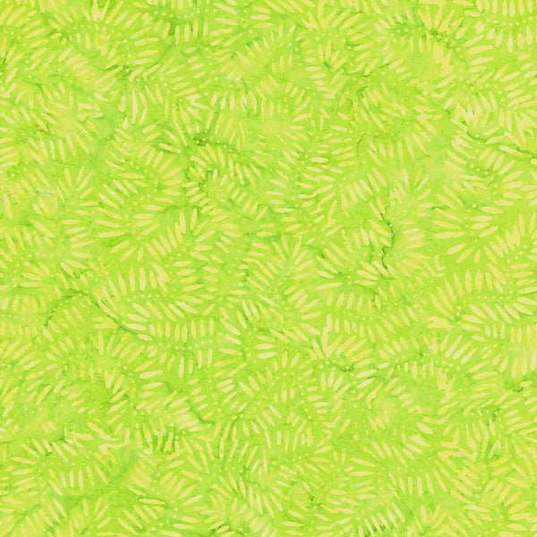 TONGA-B3286 Lime - Dotty Ferns