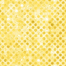 Codici-Sunshine