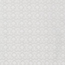 Wishwell: Alabaster - Circles Snow