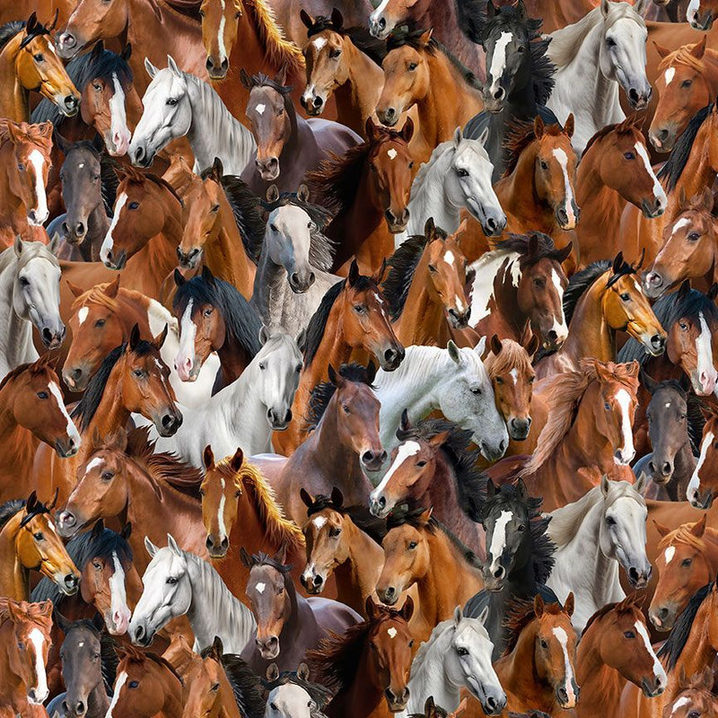 Home on the Range -PACKED HORSES