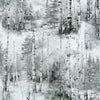 Stag and Stone - Quilting Fabric  - Fog