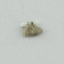 BOBBIN CASE BRUSH - Fabric Bash