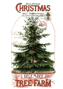 Classic Christmas - Christmas Botanical Main Panel - Fabric Bash