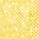 Codici-Sunshine - Fabric Bash