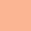 Confetti Cotton - Marmalade - Fabric Bash
