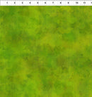 Dit Dot Evolution - Grass - Fabric Bash