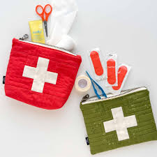 Quilt Scouts Ouch Pouch Kit